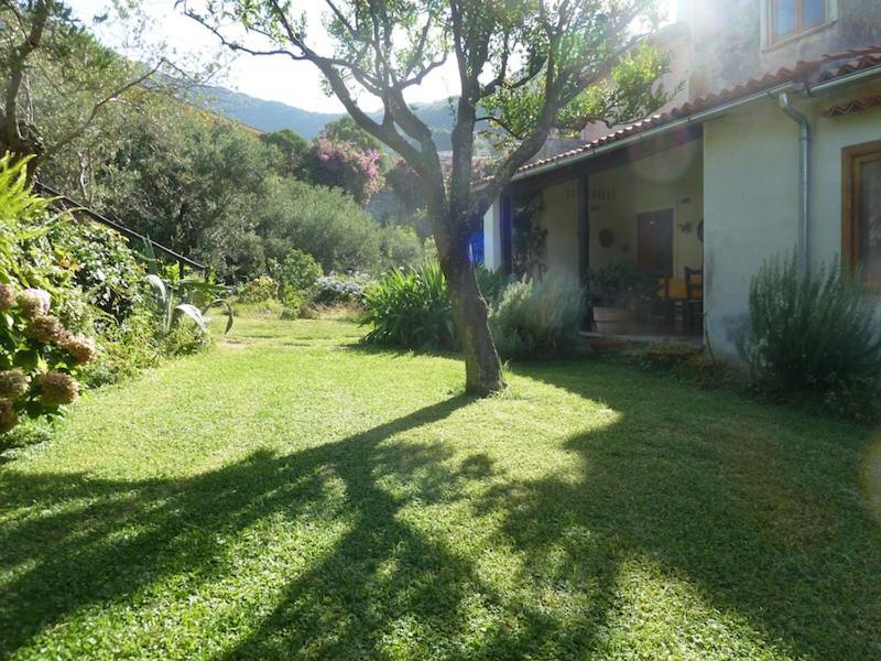 Casa Puccini B&B Maratea Bagian luar foto